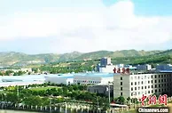 青海西宁“海归”创业记：有“个性”的藏毯，我想做一辈子