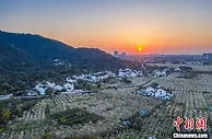 （中国这十年·见微）姑苏城外“双创”村