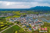 经济观察：2022年，中国如何接续全面推进乡村振兴？