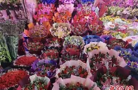 花价飞涨、奢侈品店排长队，这个“双节”有点爆