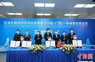 广西与柬埔寨首签RCEP框架下备忘录 柬木薯片直供中国