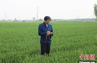 弃商种地 河北吴桥“土专家”自学成才惠乡邻