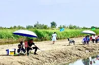 2022中国塔河源荷花文化旅游节开幕