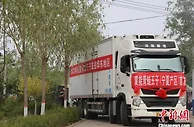 宁夏灵武“青蛙王子”蜜瓜甜蜜上市