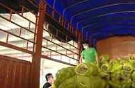 广西保障北海应急物流畅通 生活必需品价格稳定