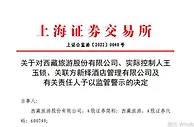 涉非经营性资金占用 西藏旅游及实控人被监管警示
