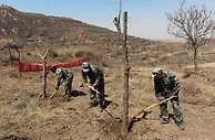 兰州高新区“搭台”倡绿色祭祀新风尚 花农转思路“云卖花”
