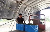 浙江山区县探索“共富菜园” 乡贤畅通销售渠道促农增收