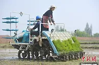 江西今年春耕生产呈三大特点 早稻意向播种面积1830万亩