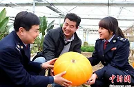 江苏扬州：“税”力量助力乡村振兴 带动农民增收