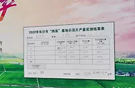 长沙早稻“科技增粮”   示范区亩产达623.7公斤