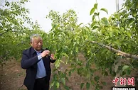 太行小山村十年之变：黄土地上生绿金