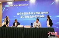 辽宁省“RCEP智库”成立 汇聚专家智慧拓展外贸新空间