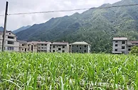 浙江丽水谱“两山”新篇：生态产品价值打开经济“绿宝藏”