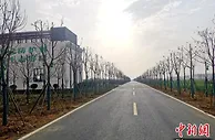 湖北襄阳：“十四五”新增造林面积100万亩