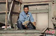 青海农产品：从“养在深闺人未识”到走向国际市场