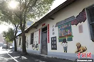 红土地上小康路：长江孤岛绘就乡村振兴“新画卷”
