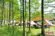 “Z世代”催生假期新玩法：露营短途深度游火“出圈”