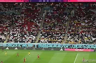 足球资讯：英国灵婆预测卡塔尔世界杯：英格兰无缘半决赛 克罗地亚将会夺冠