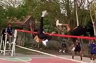 ????最舒展的倒钩不在足球场？来看看藤球的这波极致攻防????