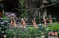 （抗击新冠肺炎）广东旅游业加速复苏回暖 暑期市场备受期待
