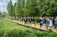第一轮1800万元文旅消费券加油券发放，云南多项措施推动旅游市场恢复