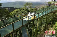 疫情之下，大三亚传统景区如何“八仙过海”
