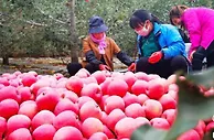 全国大型煤炭基地平凉主攻绿色智能开采 推进高效利用