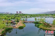 青海检察机关：服务生态文明建设与保护“中华水塔”同向发力