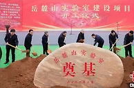 长沙“种业硅谷”如何为“中国饭碗”筑牢底座？
