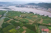 国家林草局：力争到2025年中国湿地保护率提升至55%