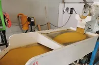 “小米粒”撬动大市场  山西武乡小米产业乡村振兴“挑大梁”