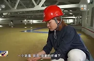 主产区小麦喜获丰收 今年夏粮旺季收购量将达1300亿斤