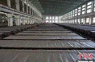 广西梧州借力科技助环保