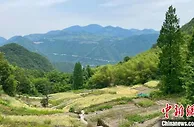浙江已累计培育农创客超3万名