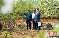 金融赋能山东淄博打造乡村振兴鲁中特色板块