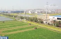 各地全力组织春耕生产保障夏粮丰收