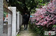 足球数据：重庆足球：这一别，再无归期