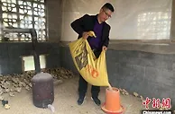 湖北恩施一村民返乡养鸡带乡亲共奔致富路