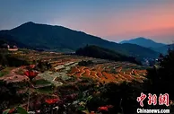 专家学者杭州论道 为长三角乡村运营发展献策