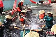 陕西安康：以“硒”兴业以“硒”富民 助力“绿色崛起”