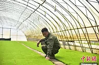 吉林残疾农民种稻养蟹致富不忘乡亲：帮他们撑把伞