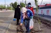 【十年@每一个奋斗的你】内蒙古农村用方寸地建增收园 “颜值”“气质”都拿捏