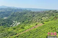 探路山区共富 浙江新昌“小县大战略”破题城乡收入差距
