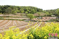 甘肃徽县科技赋能“盘活”土地资源 ：撂荒地复耕变良田