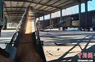 中国北疆铁路货运量创8年来新高