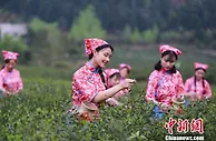 2022庐山国际名茶名泉博览会开幕 茶商茶企享文化盛宴（图）
