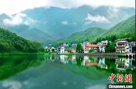浙江多地试水碳汇交易 成为撬动绿色经济的新支点