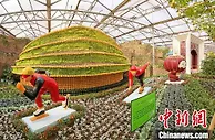 第23届中国（寿光）菜博会“云上”开幕 先进技术引关注