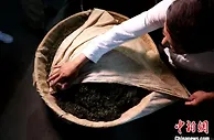 【十年@每一个奋斗的你】浙江德清“国茶工匠”：一脉匠心传承 手捻氤氲茶香